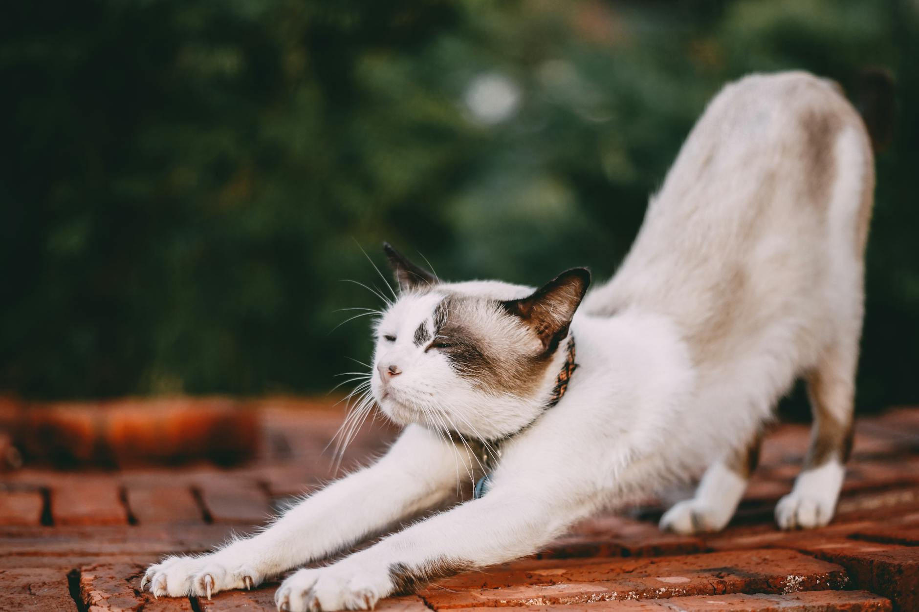 Stretching for migraines