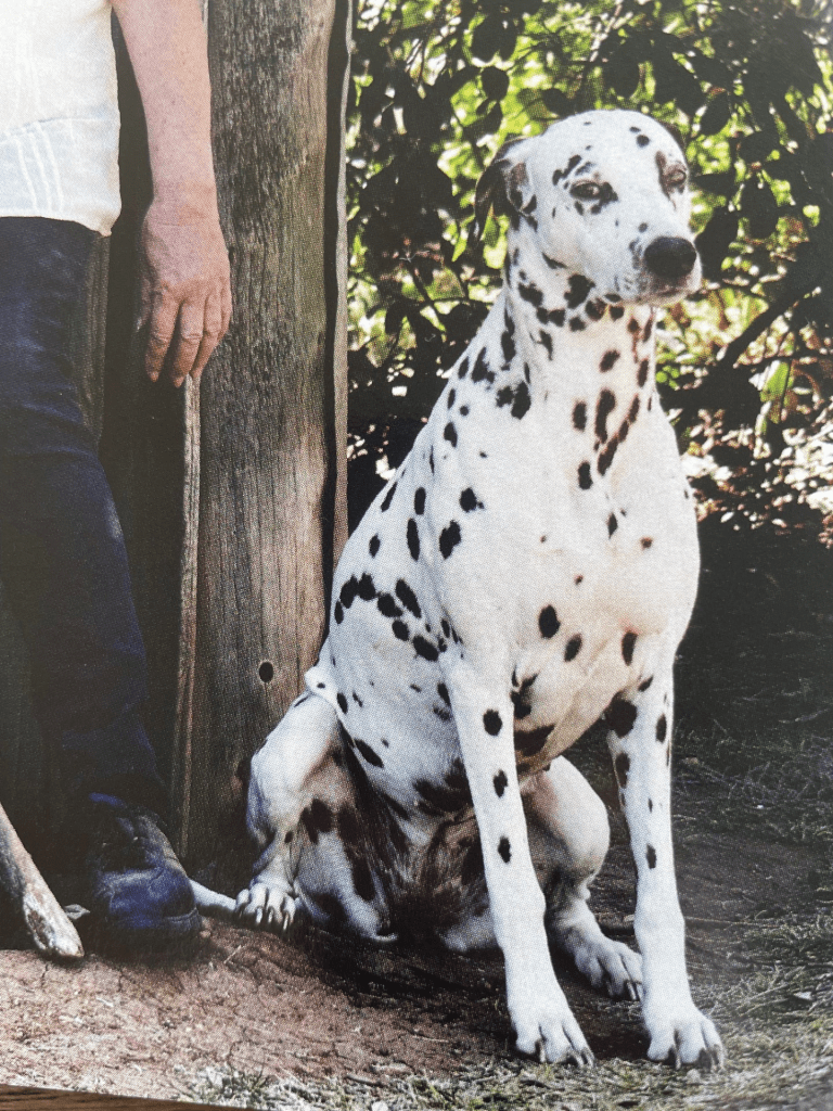 Ever feel like giving side-eye when someone gives you advice about your chronic pain?