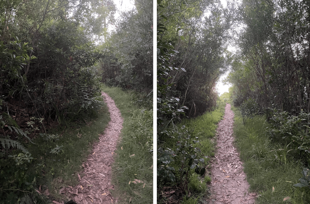 photos of a pathway that bends and winds and another of a path that is in a straight line.