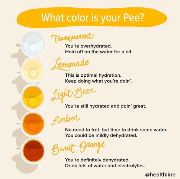 Image of urine color to determine if you are dehydrated