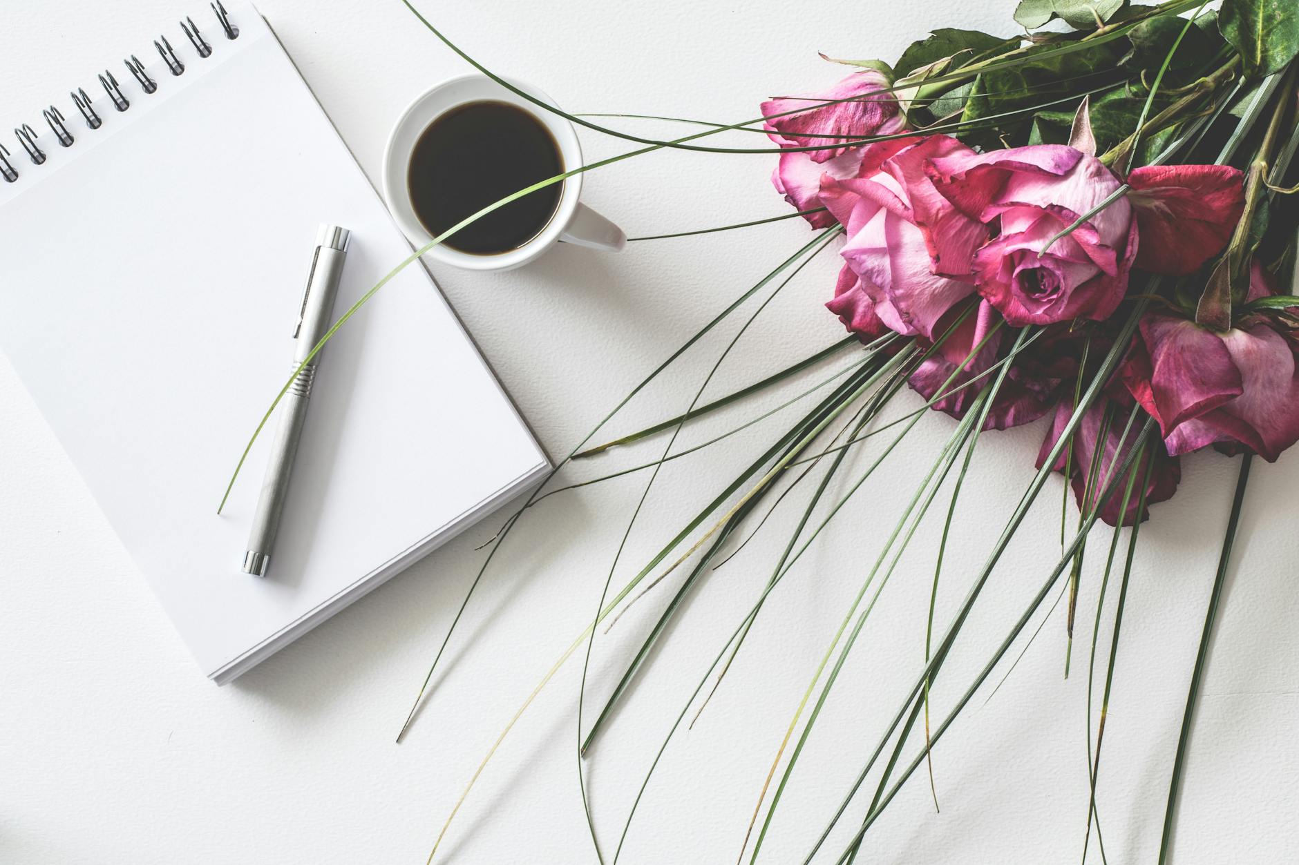 Guest Post: Miffed at Midlife