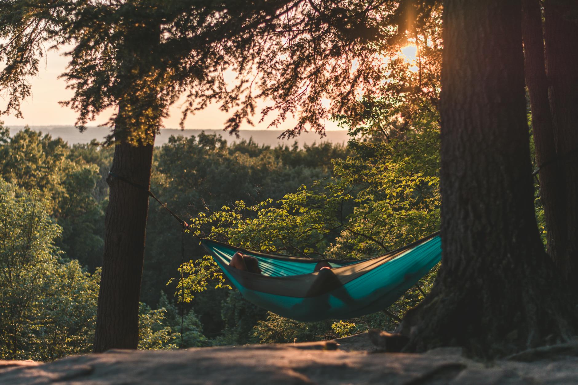 Hanging out