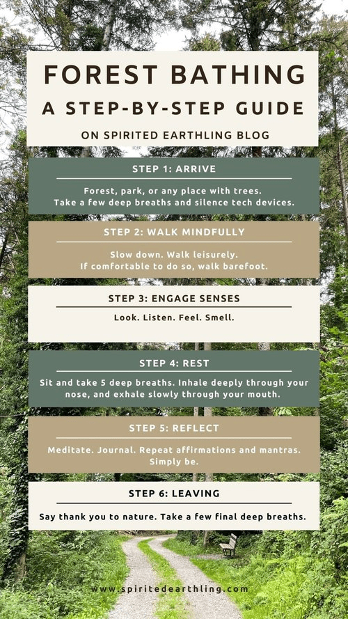 six steps of forest bathing, including: arrival, walk mindfully, engage senses, rest, reflect, leaving.