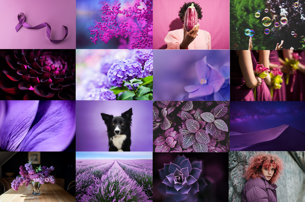 mood board of purple images