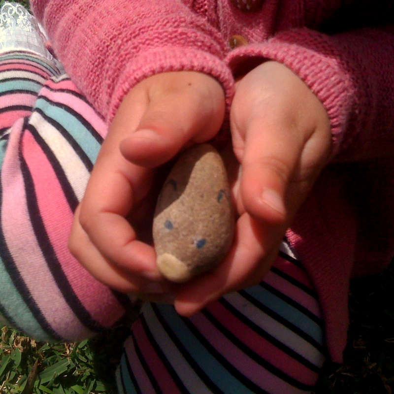 Pet rocks and pebbling people
