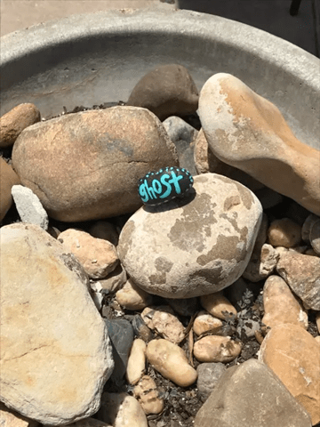 a picture of a rock with the word ghost painted on it, sitting in a pot surrounded by other rocks