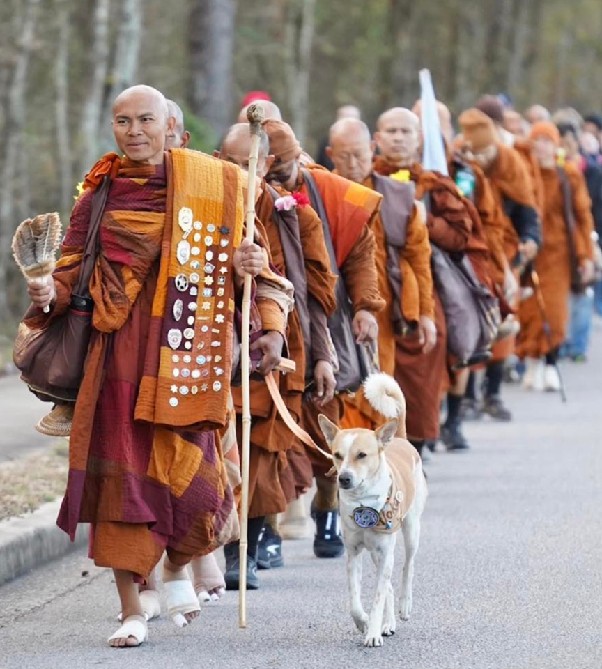 an image of a long line of Buddhist monks
