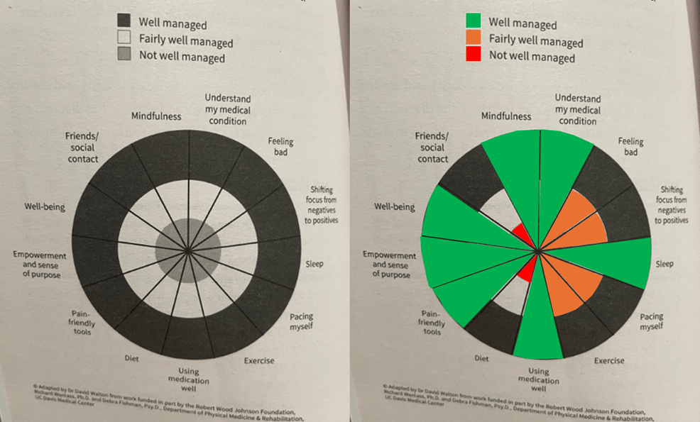 an image of a wheel with colored wedges in it, labelled in a way which is described shortly