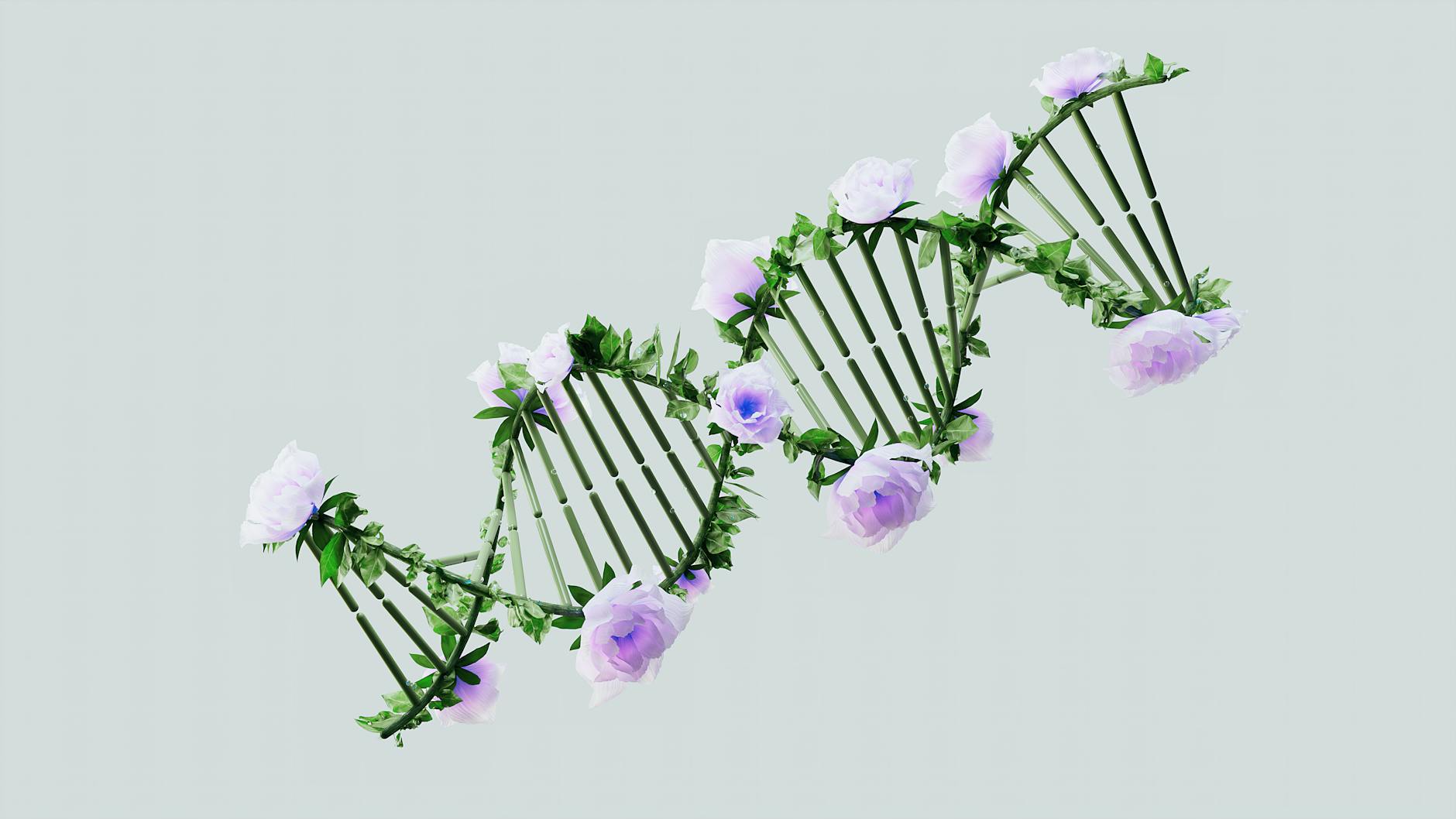 Migraines and the MTHFR gene